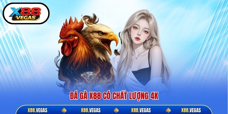 Đá gà X88 có chất lượng 4K